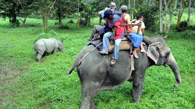 Chitwan Jungle Resort