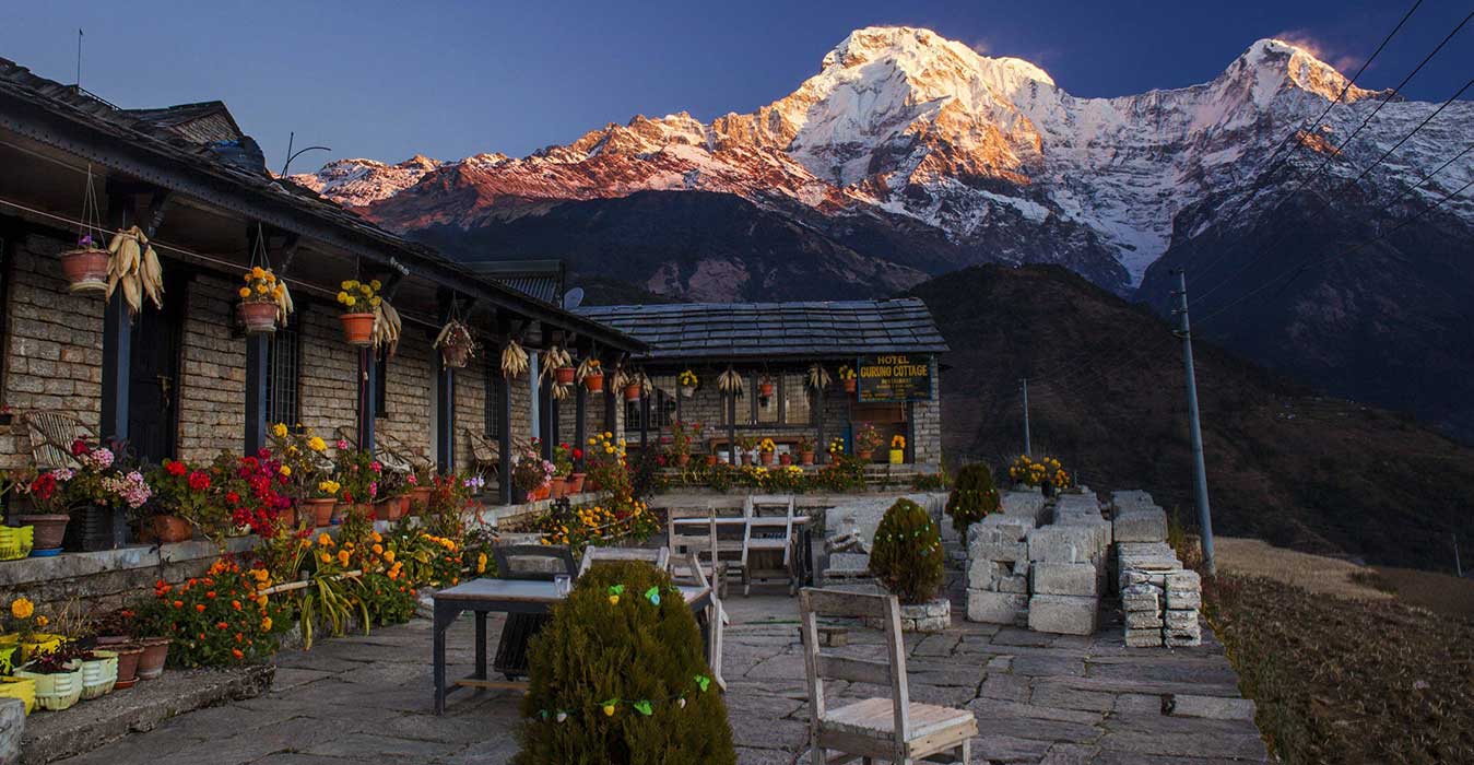 Mountain Teahouse